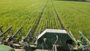 Lire la suite à propos de l’article Cadmium et agriculture biologique