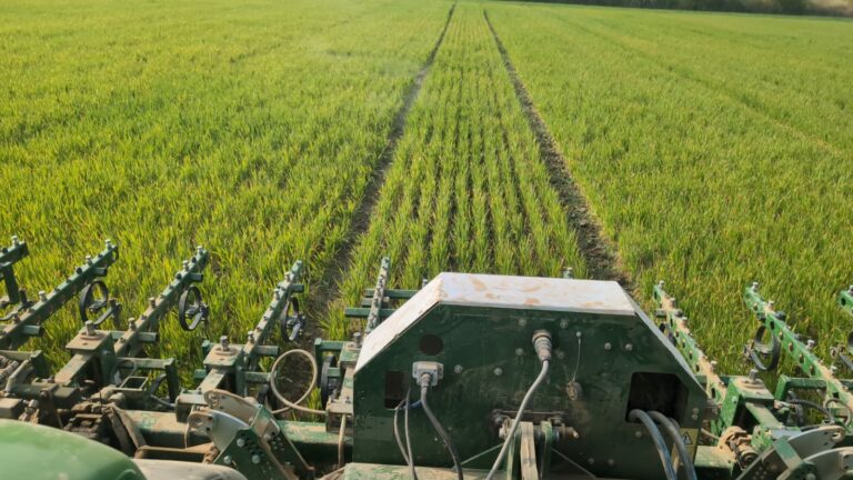 Lire la suite à propos de l’article Cadmium et agriculture biologique